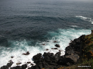 zzena-30-03-2013 12-35-42